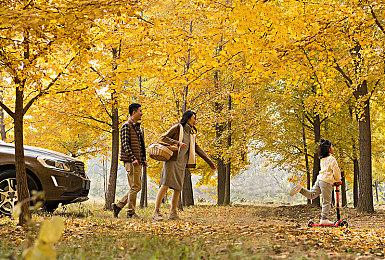 《星露谷物语》1.6版本内容更新预告 上线日期待定